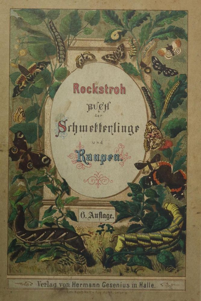 Große Abbildung Nr.1: 130-1913 Heinemann, H.v.: (Zoologie, Insekten)