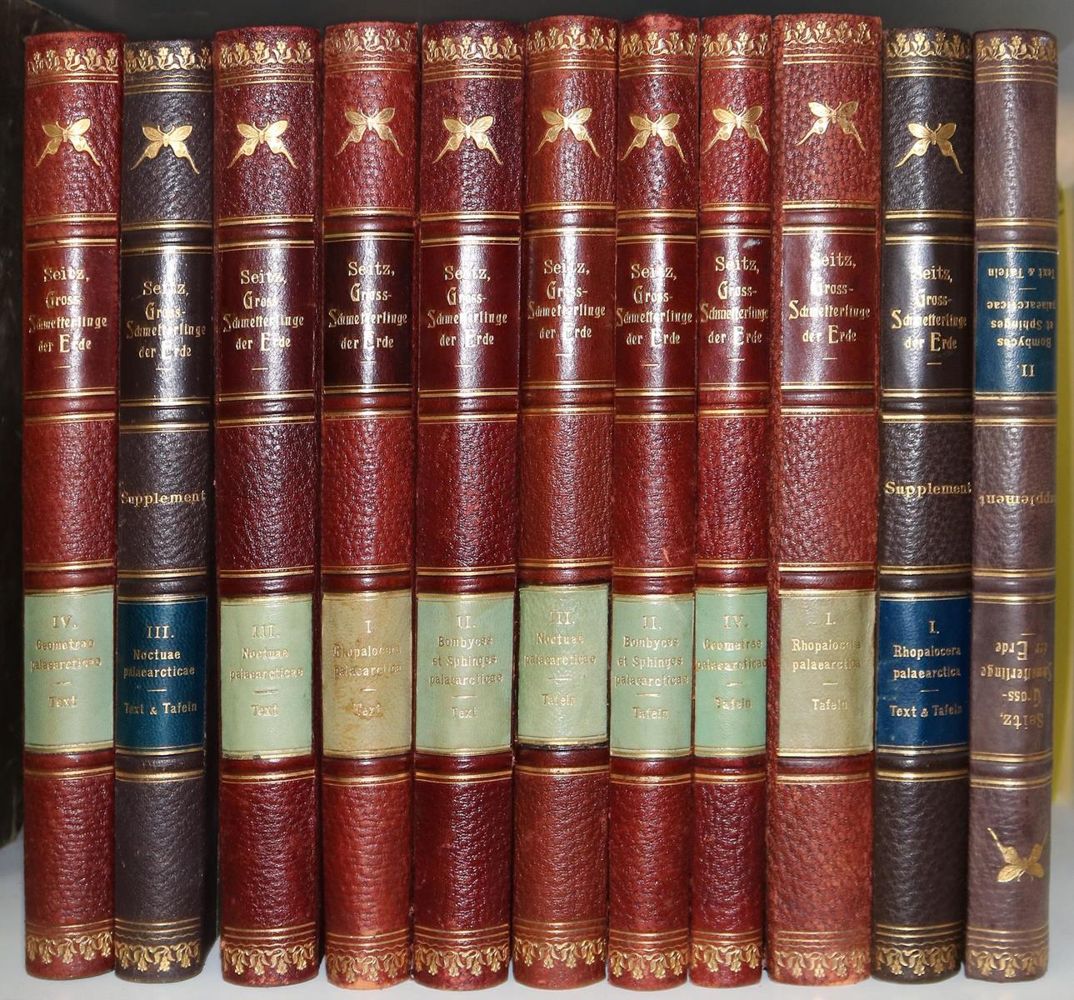 Große Abbildung Nr.9: 130-1922 Seitz,A.: (Zoologie, Schmetterlinge)