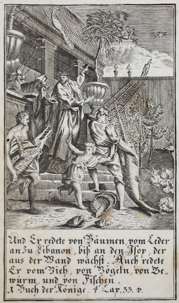 Große Abbildung Nr.1: 130-2021 (Pluche,N.A.).: (Verschiedene Gebiete - Varia)
