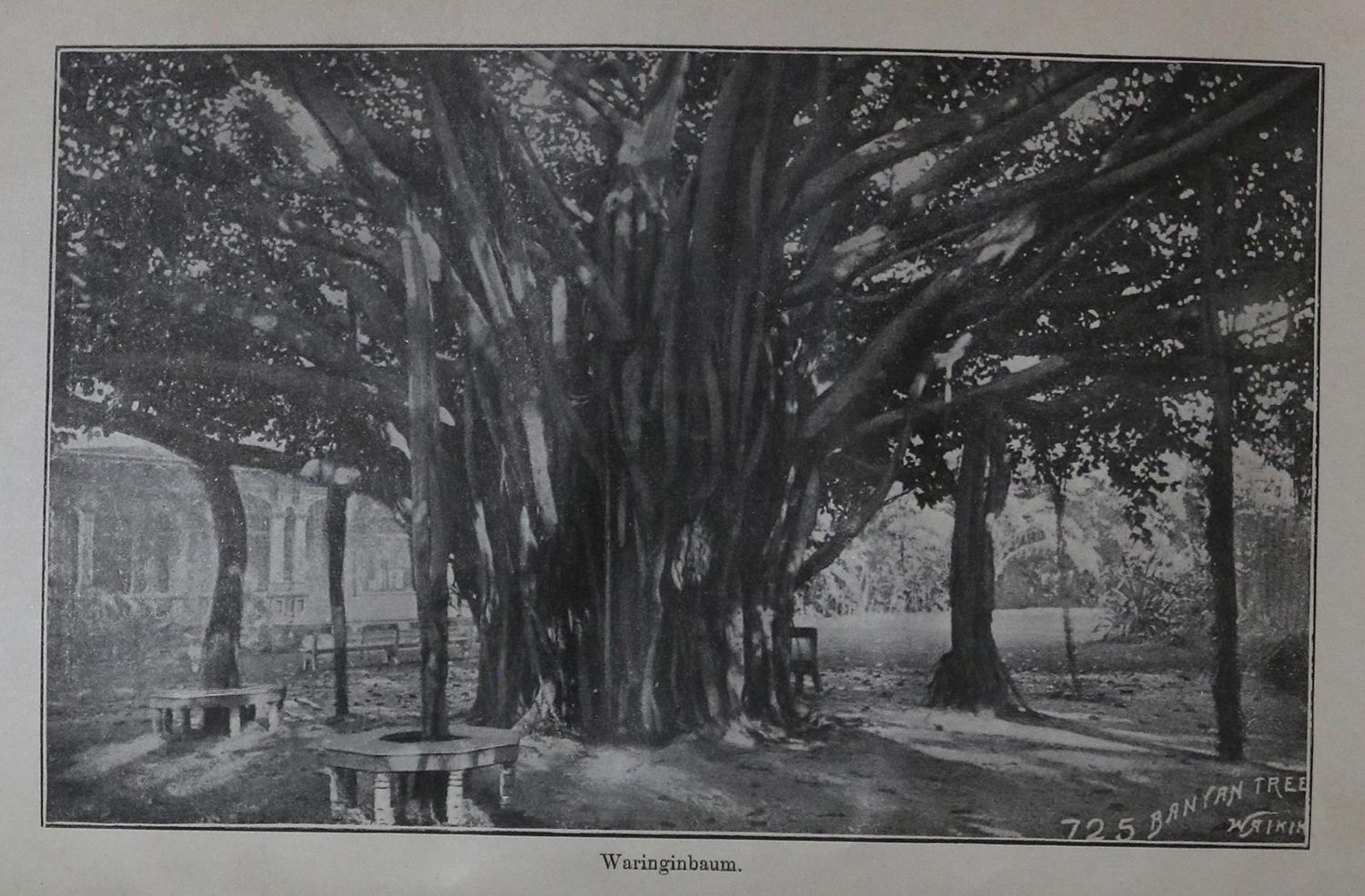 Große Abbildung Nr.1: 130-2082 Breitenstein,H.: (Asien, Indien)