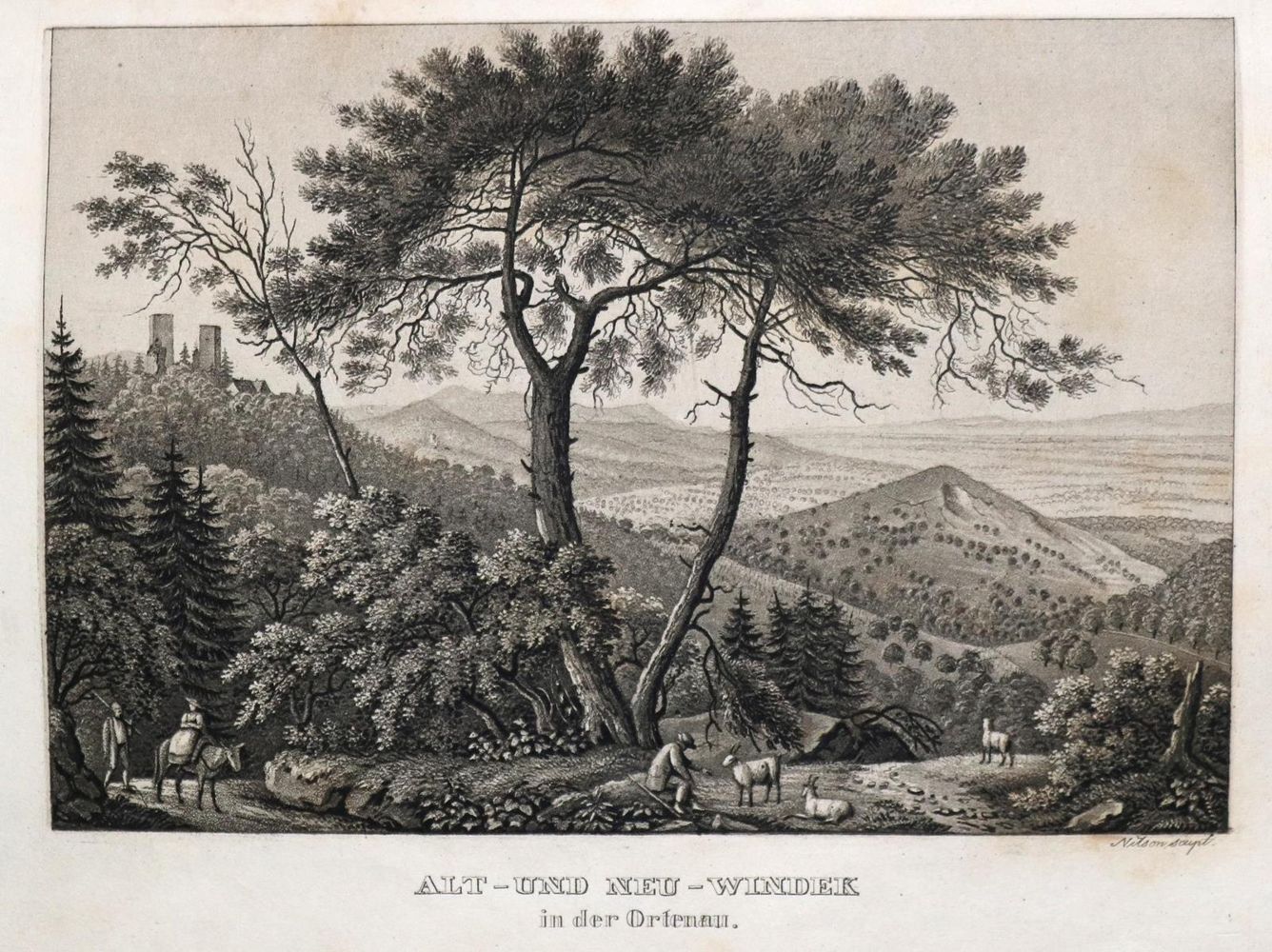 Große Abbildung Nr.1: 130-2115 Bader,J.: (Deutschland, Baden-Württemberg)