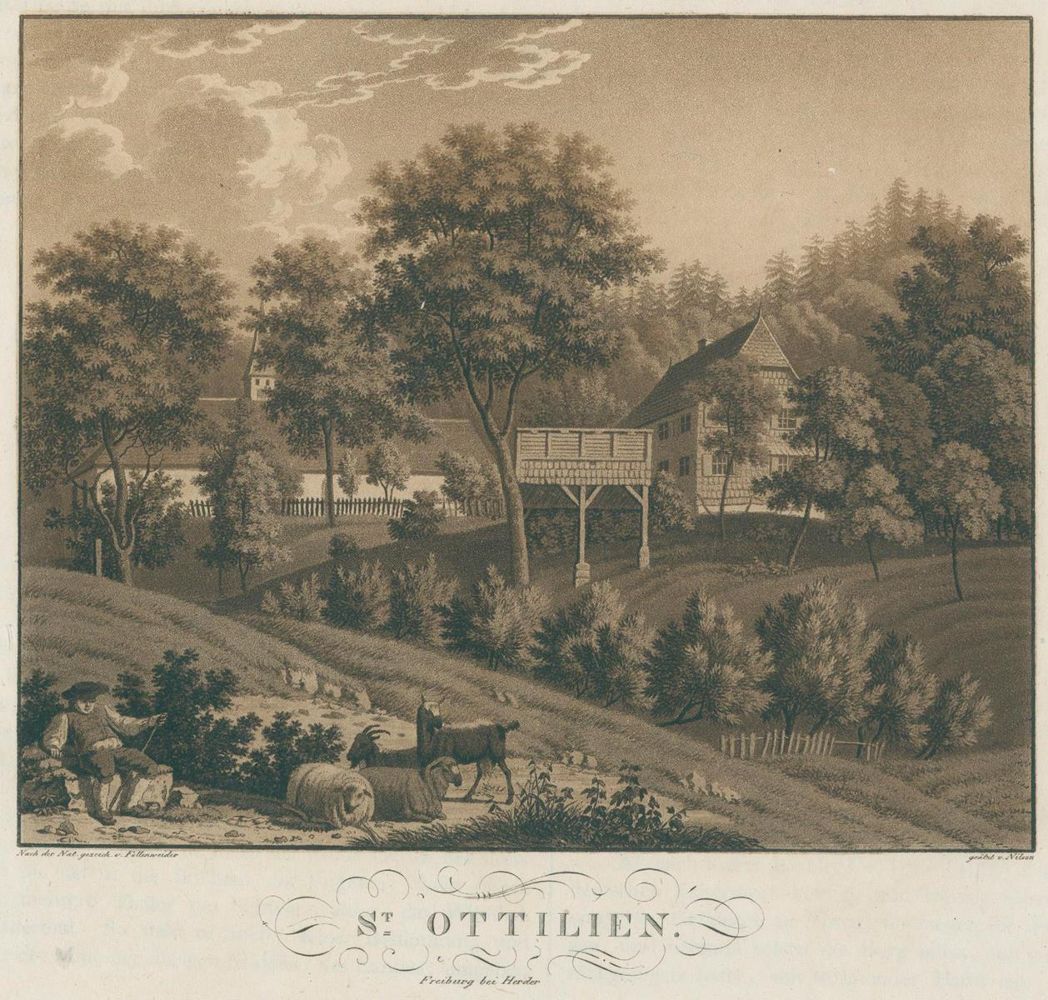Große Abbildung Nr.2: 130-2181 Ansichten: (Deutschland, Freiburg)
