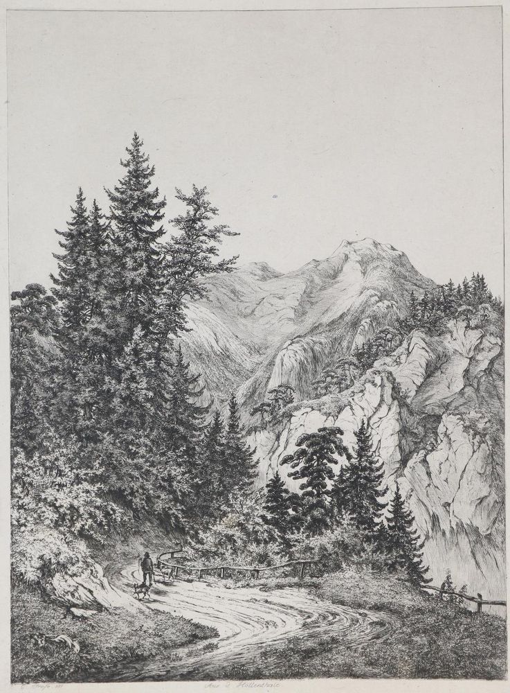 Große Abbildung Nr.2: 130-2366 Schön,L.: (Österreich)