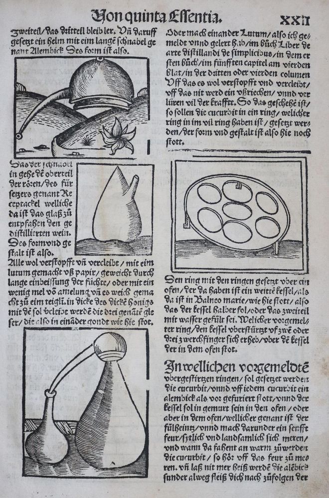 Große Abbildung Nr.3: 130-246 Brunschwig, H.: (Medizin)