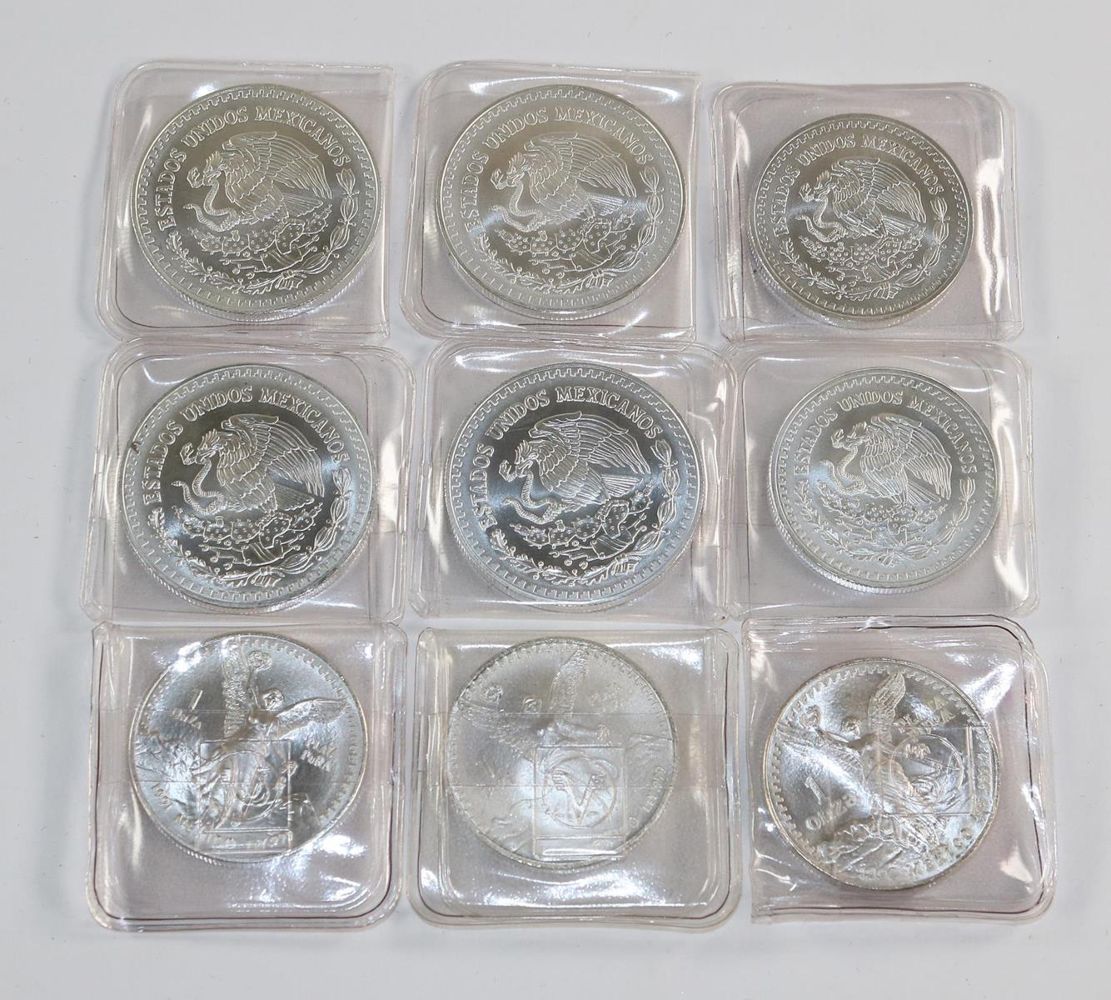Große Abbildung Nr.2: 130-2710 Mexico 11 x 1 oz Libertad: (Münzen und Medaillen)