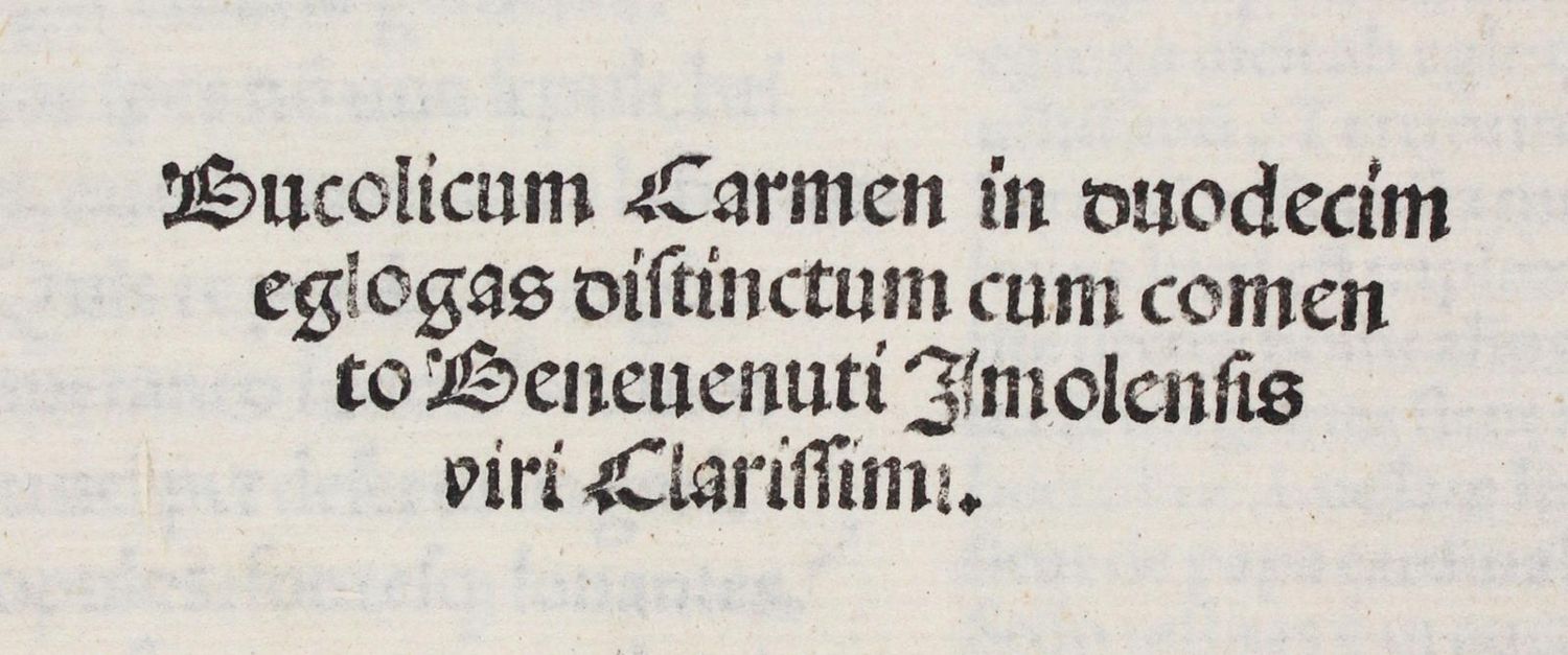 Große Abbildung Nr.2: 130-281 Petrarca,F.: (Alte Drucke, Handschriften und Theologie)