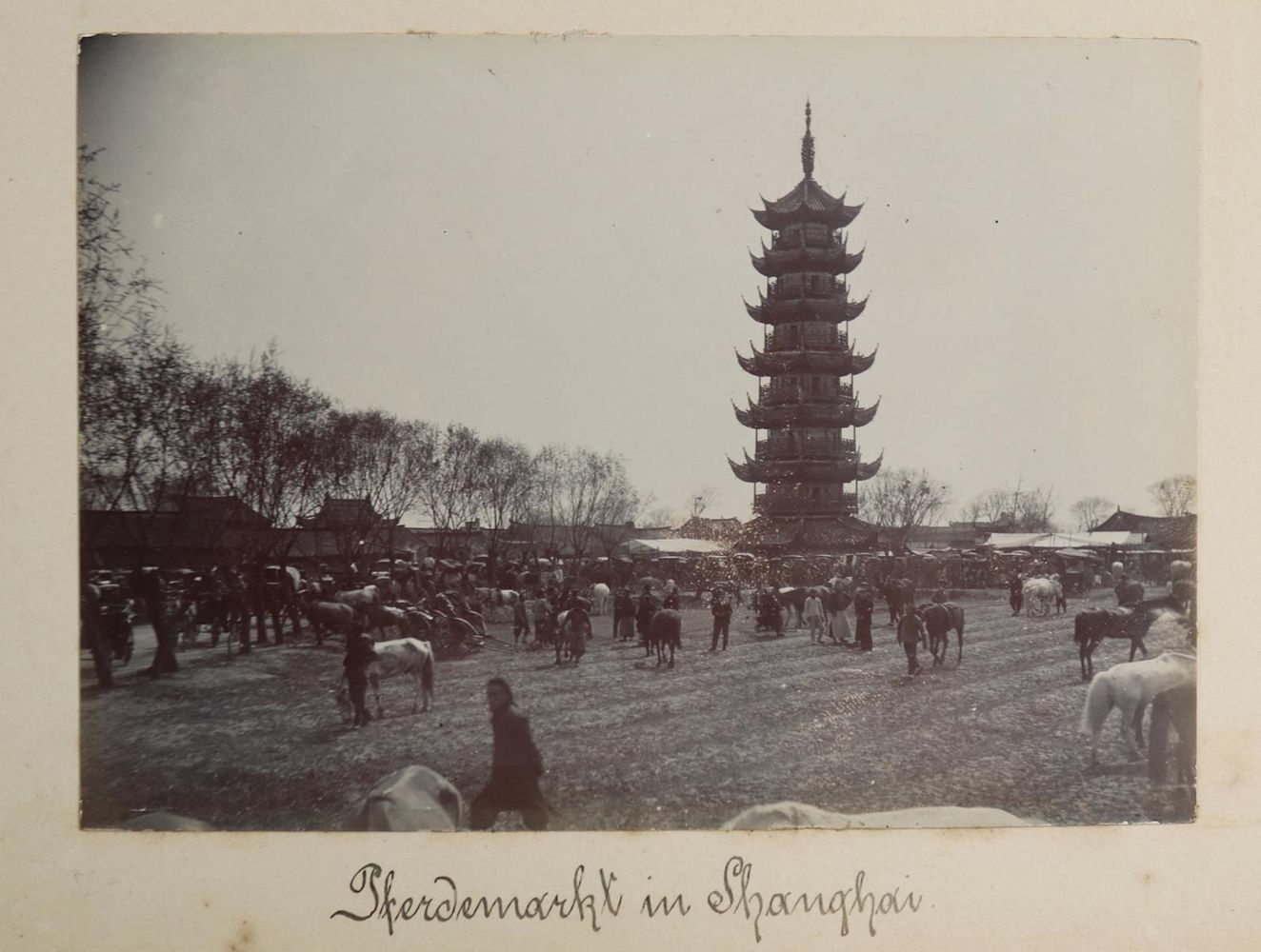 Große Abbildung Nr.107: 130-2829 Photoalbum: (China, SMS Luchs)