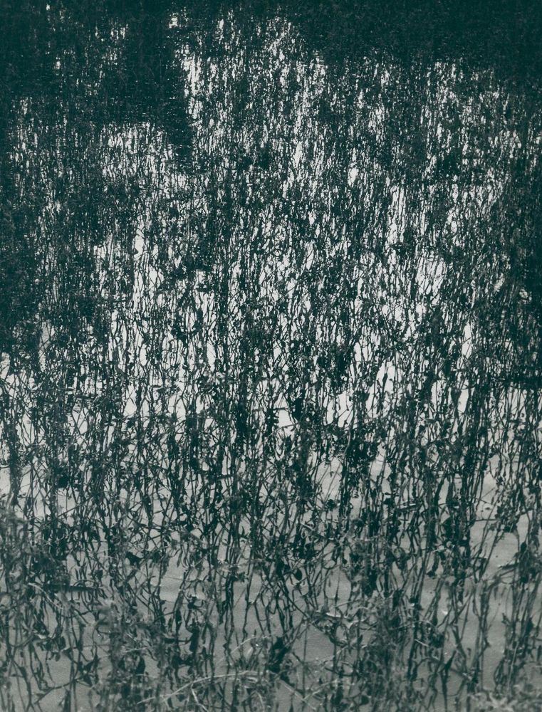 Große Abbildung Nr.2: 130-2835 Clergue, Lucien: (Photographie)