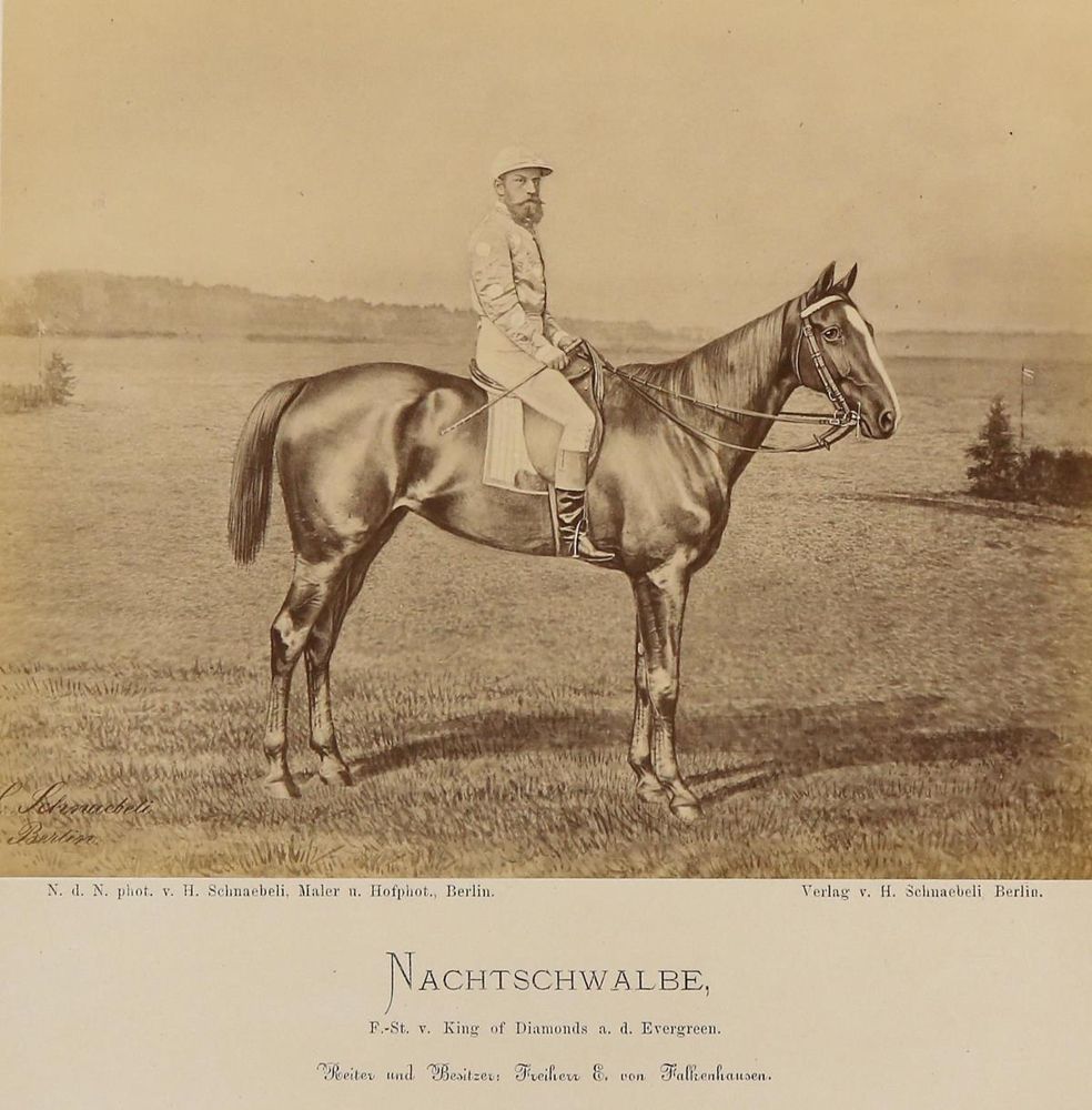 Große Abbildung Nr.1: 130-2864 Schnaebeli,H.: (Photographie)