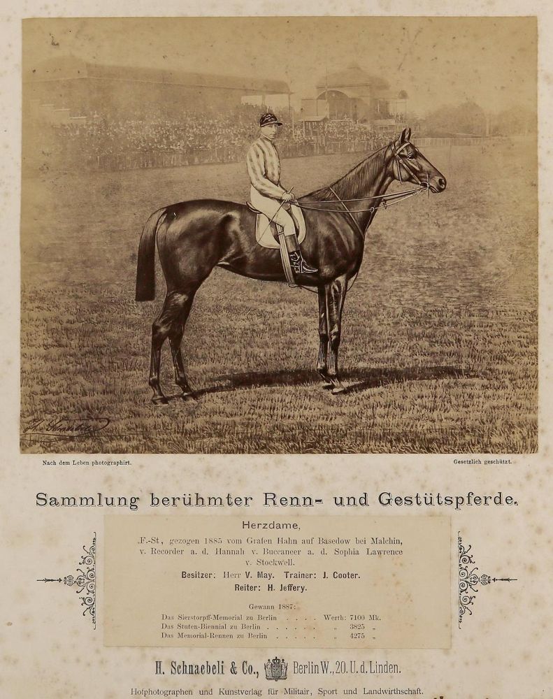 Große Abbildung Nr.2: 130-2864 Schnaebeli,H.: (Photographie)