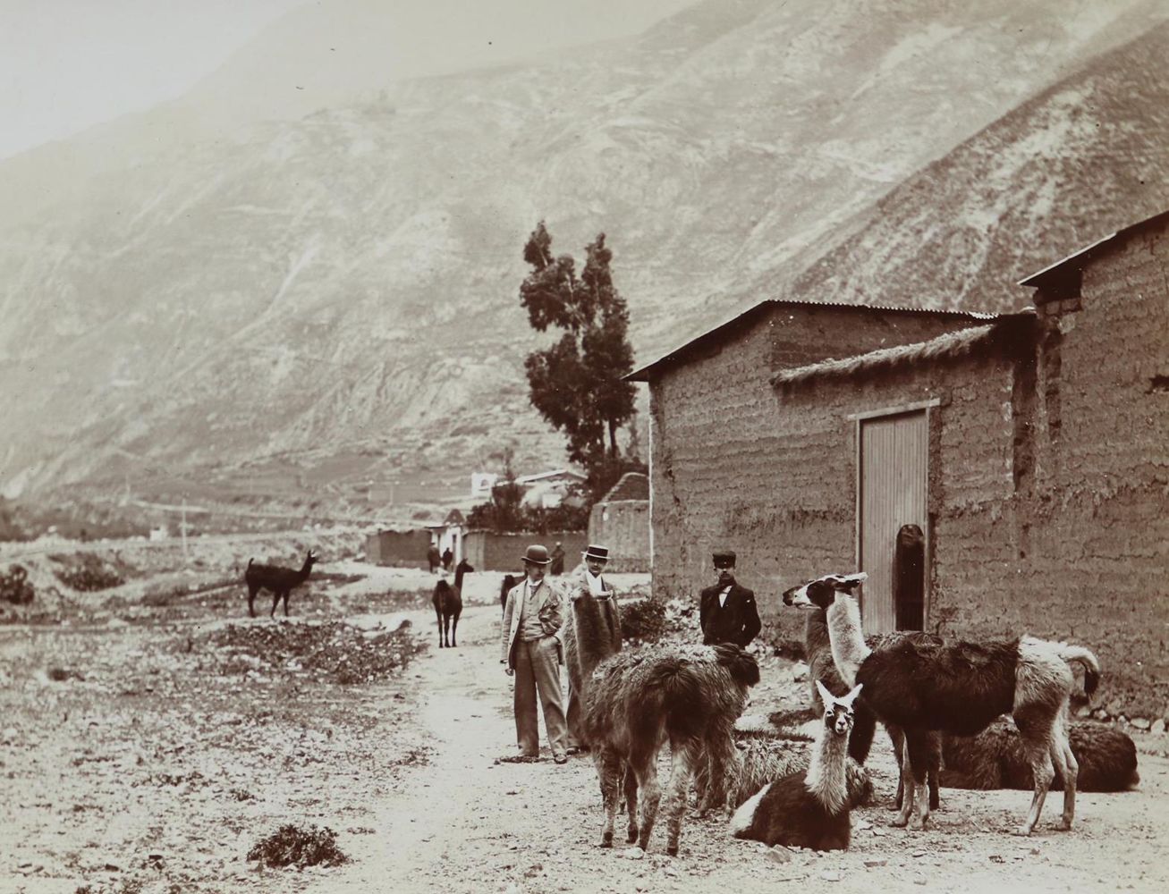 Große Abbildung Nr.4: 130-2869 Südamerika.: (Photographie)