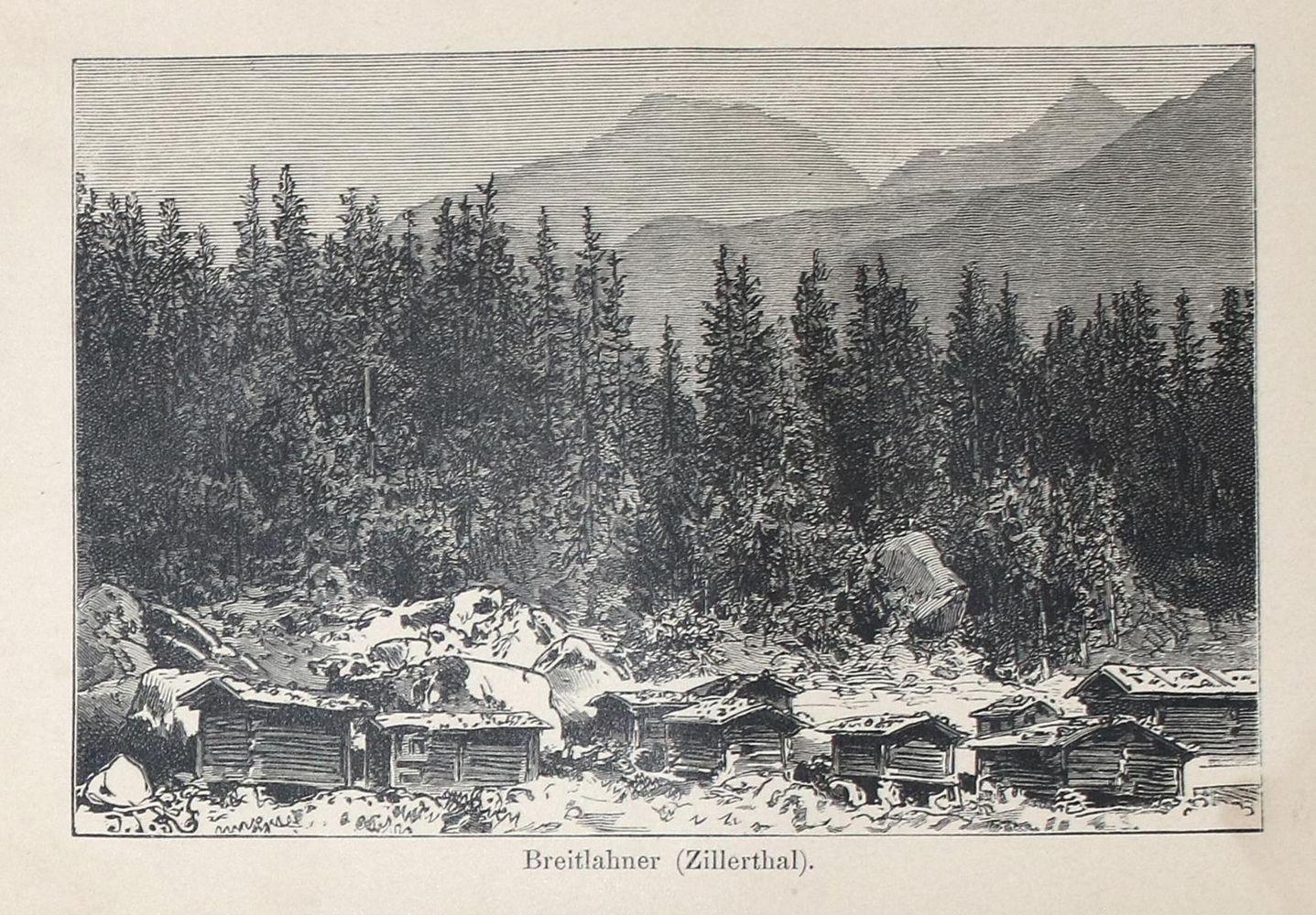 Große Abbildung Nr.1: 130-2879 Nordtirol.: (Varia, Ausland, Österreich)