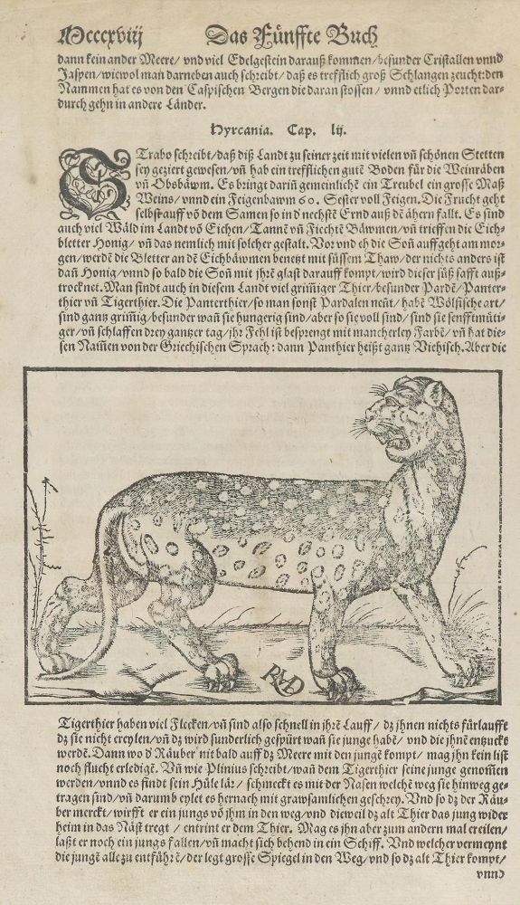 Große Abbildung Nr.2: 130-2902 Sammlung: (Varia, Botanik)