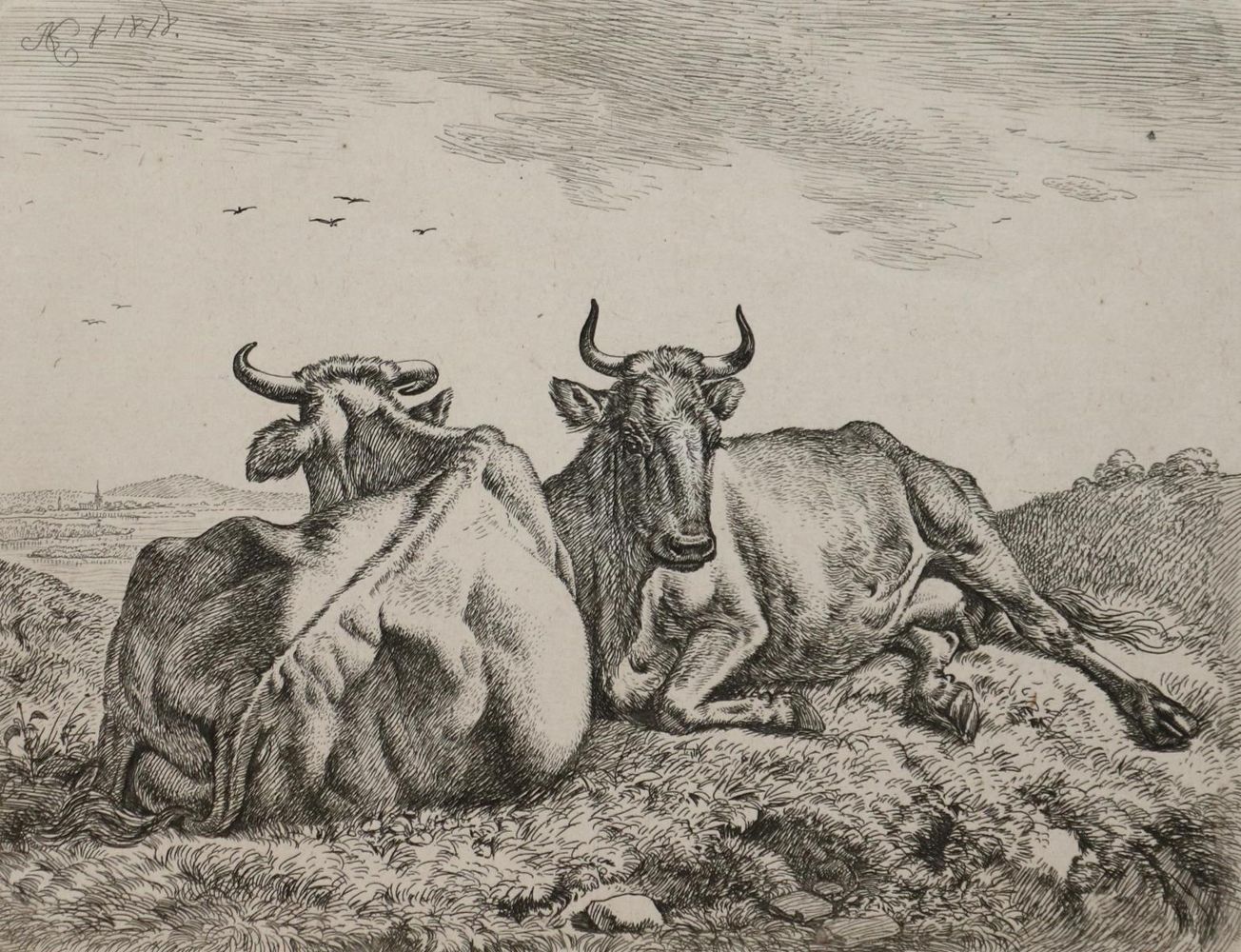 Große Abbildung Nr.1: 130-3016 Konvolut: (Varia, Zoologie)
