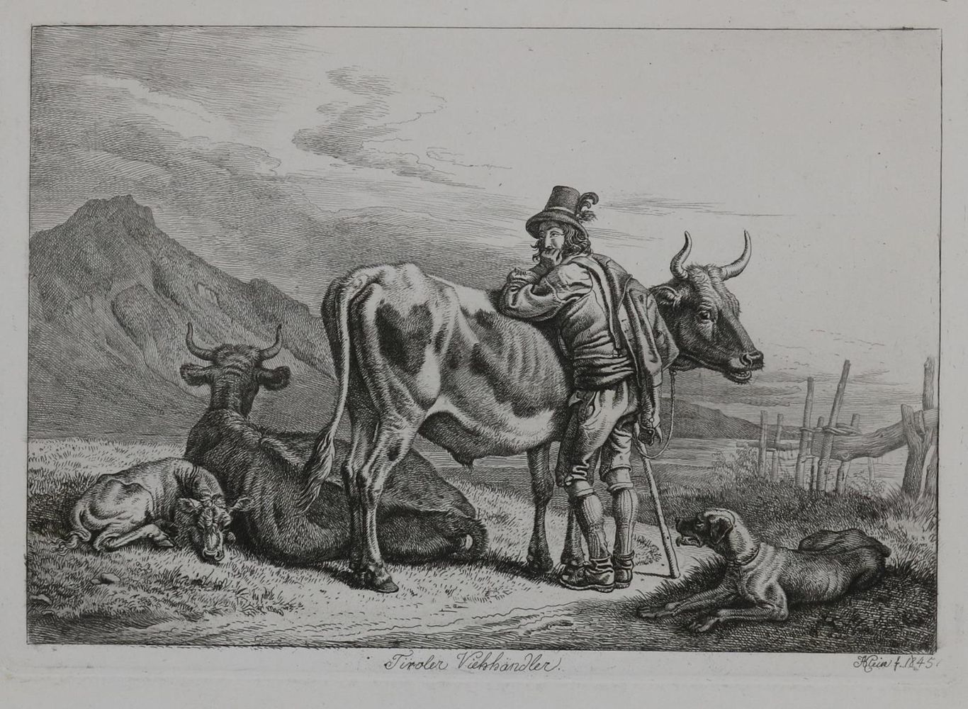 Große Abbildung Nr.2: 130-3016 Konvolut: (Varia, Zoologie)