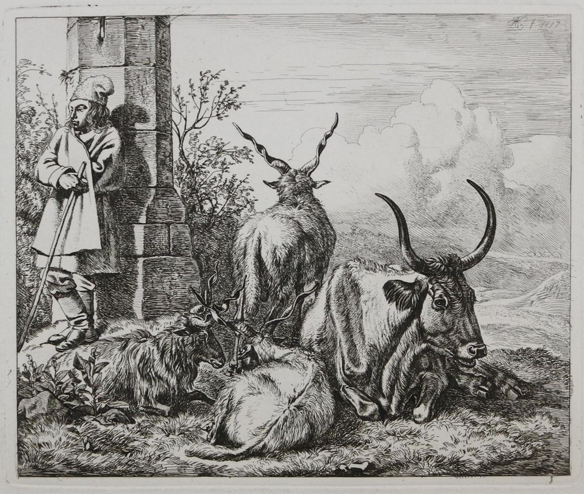 Große Abbildung Nr.21: 130-3016 Konvolut: (Varia, Zoologie)