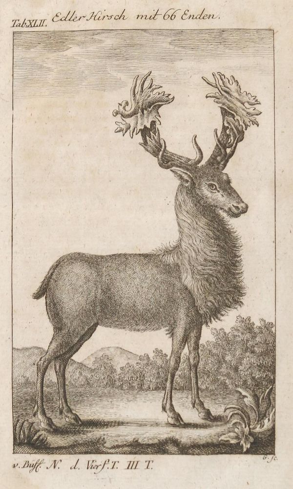 Große Abbildung Nr.4: 130-3017 Sammlung von: (Varia, Zoologie)