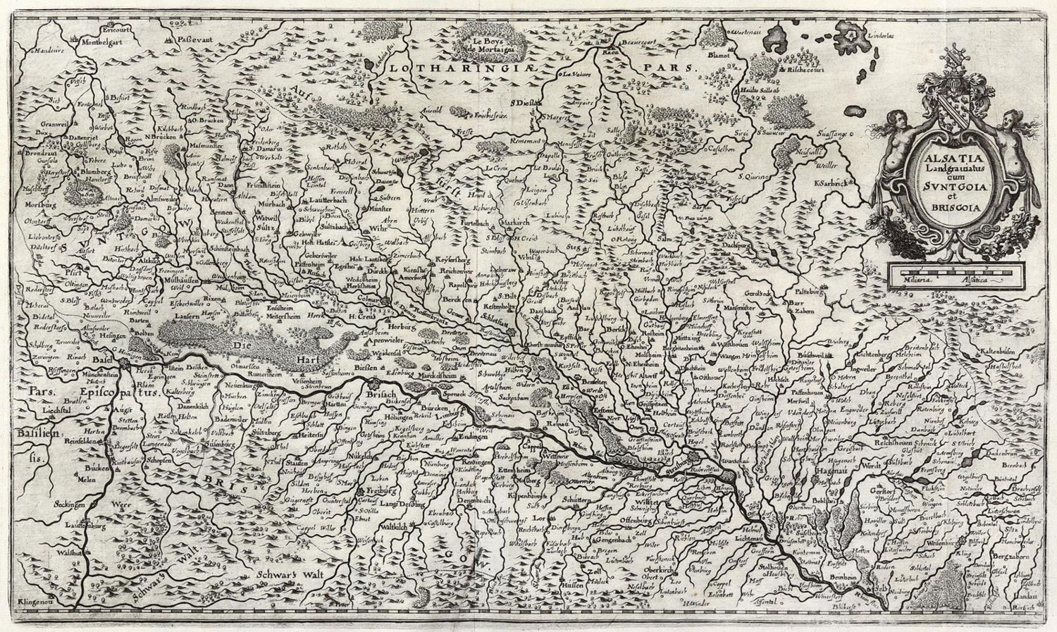 Große Abbildung Nr.1: 130-3049 Breisgau.: (Deutschland)