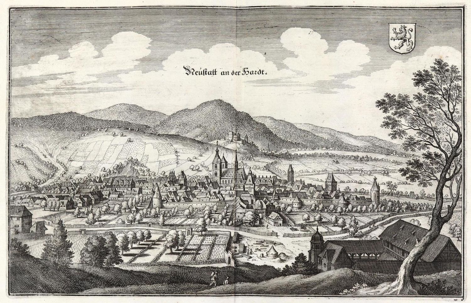 Große Abbildung Nr.1: 130-3140 Neustadt an der Haardt.: (Deutschland)