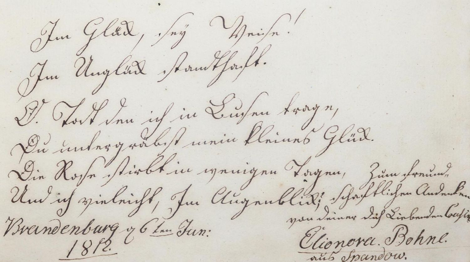 Große Abbildung Nr.2: 130-333 Album amicorum.: (Stammbücher)