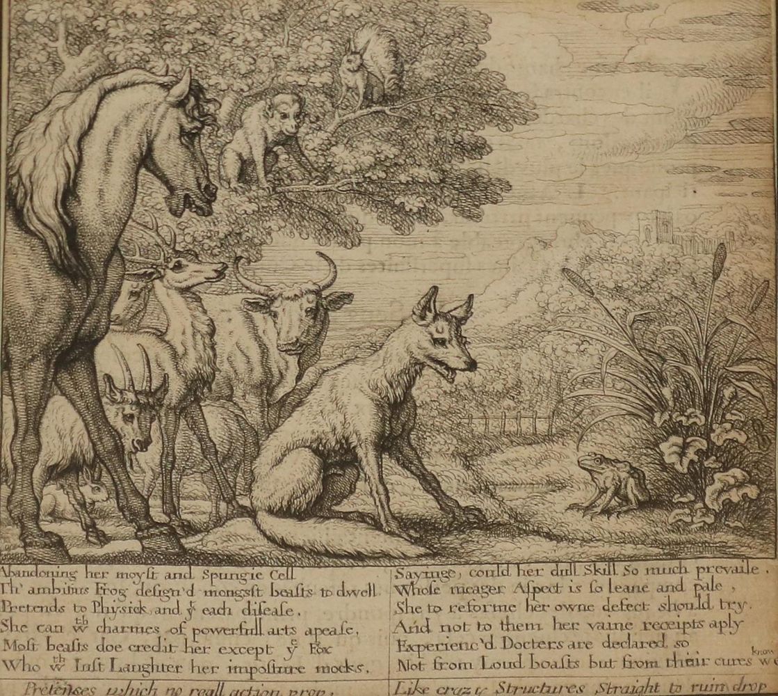 Große Abbildung Nr.1: 130-3579 Barlow, Francis: (Künstlergraphik)
