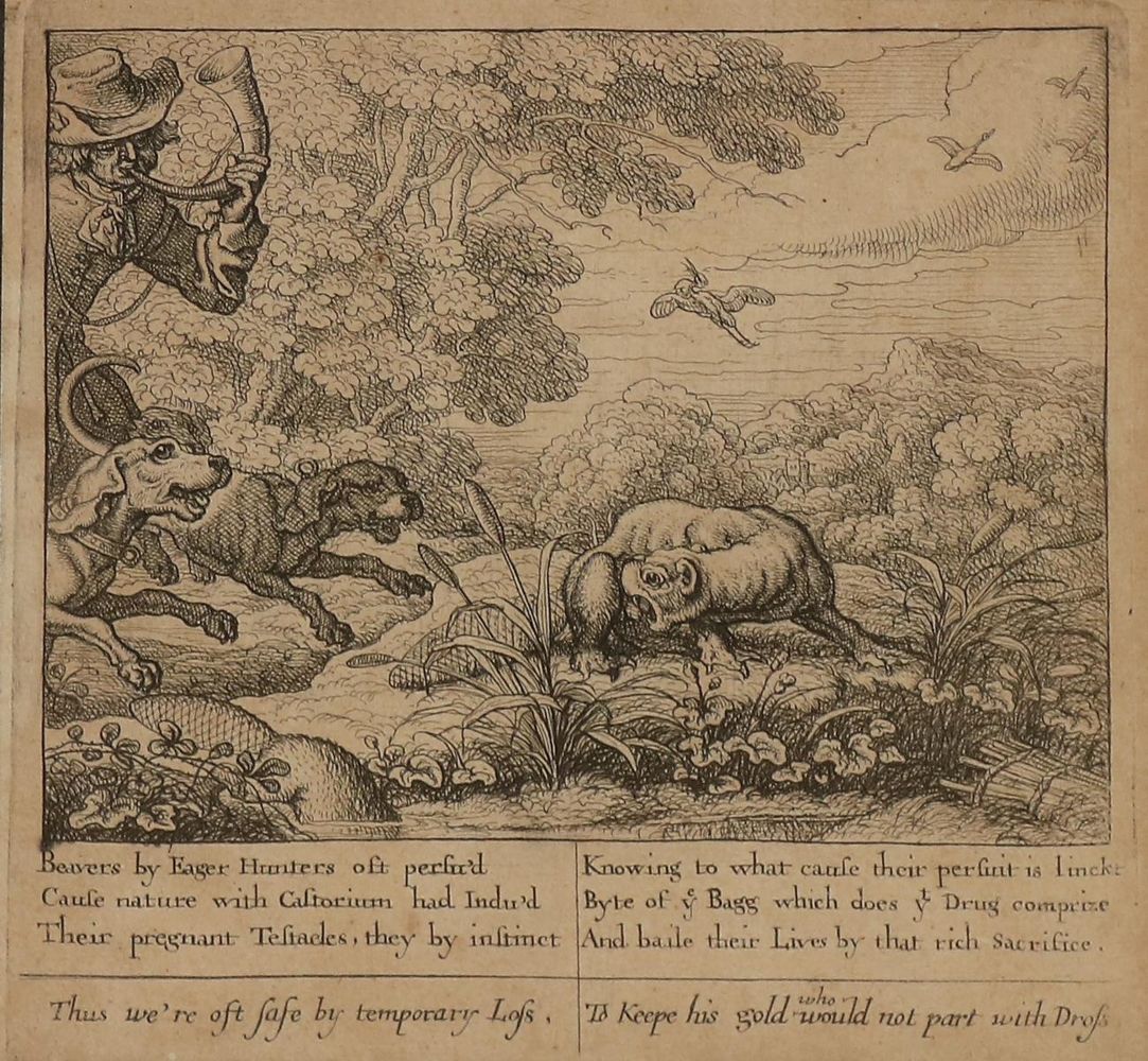Große Abbildung Nr.3: 130-3579 Barlow, Francis: (Künstlergraphik)