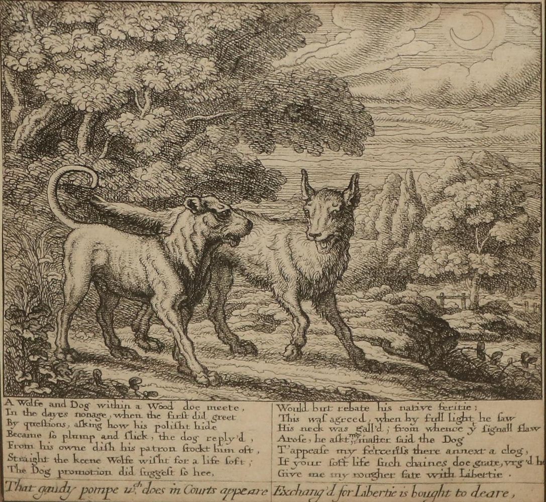 Große Abbildung Nr.6: 130-3579 Barlow, Francis: (Künstlergraphik)