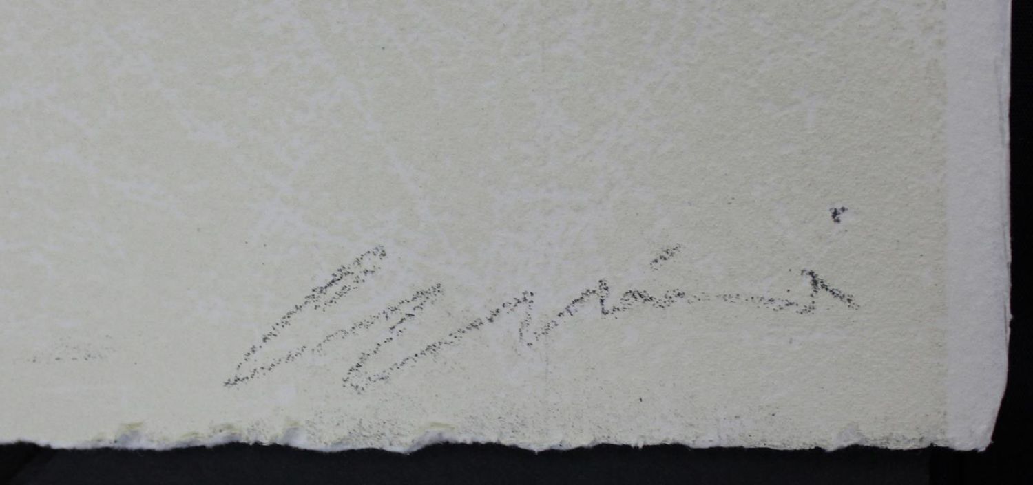 Große Abbildung Nr.2: 130-3779 Galliani, Omar u. Michelangelo: (Künstlergraphik)