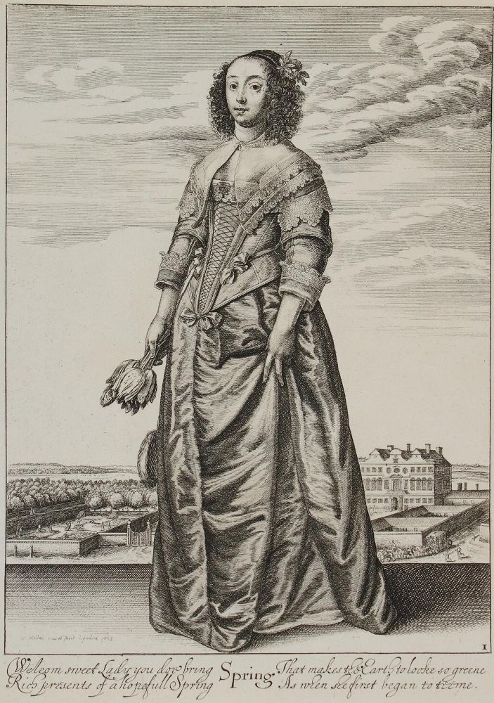 Große Abbildung Nr.11: 130-3862 Hollar, Wenzel: (Künstlergraphik)