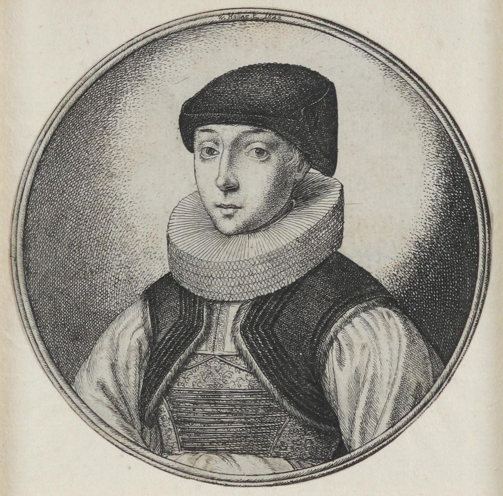 Große Abbildung Nr.1: 130-3868 Hollar, Wenzel: (Künstlergraphik)
