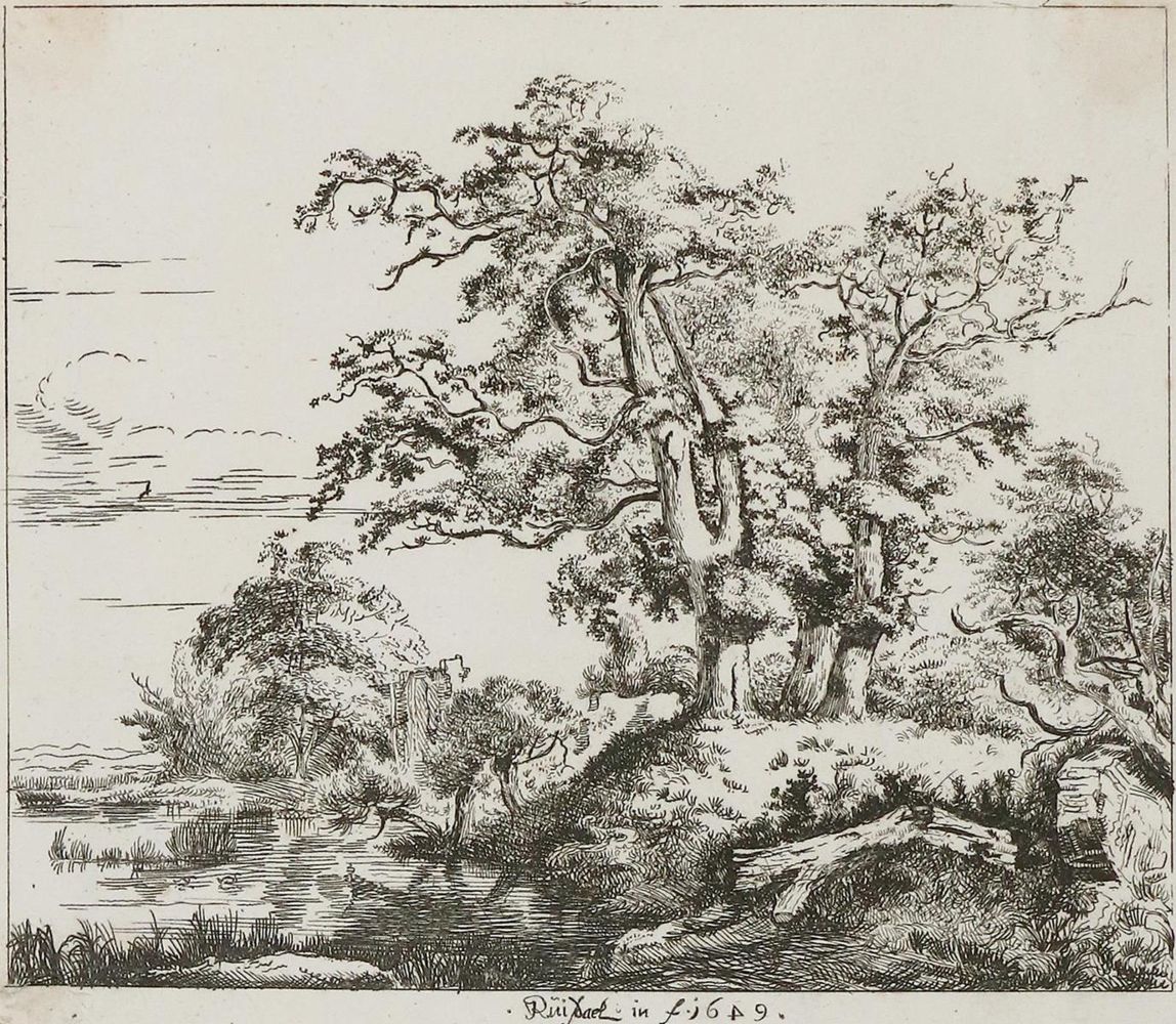 Große Abbildung Nr.1: 130-4286 Ruisdael, Jacob Isaackszoon: (Künstlergraphik)