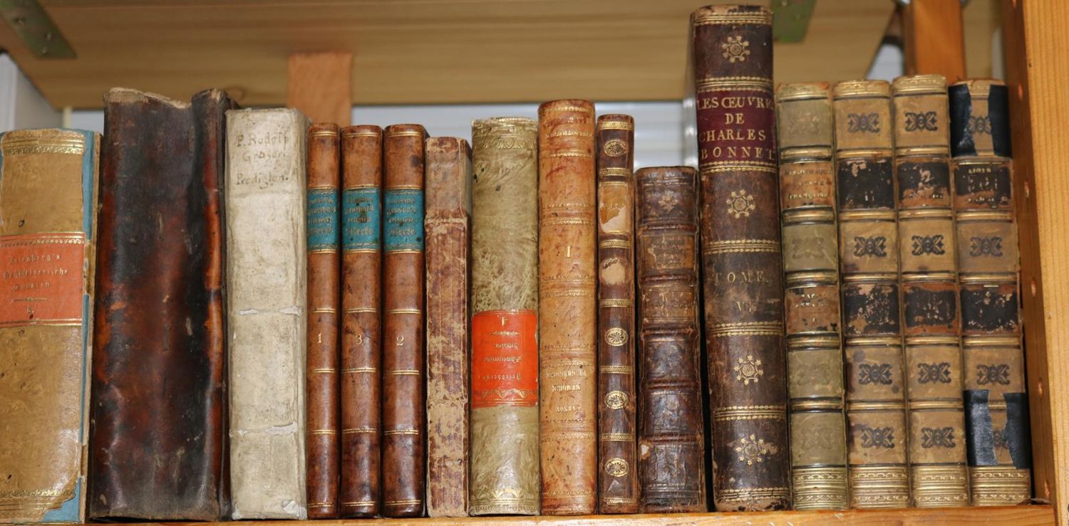 Große Abbildung Nr.1: 130-575 Sammlung: (Varia)
