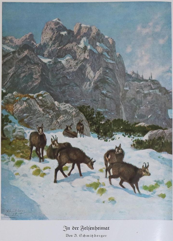 Große Abbildung Nr.1: 130-628 Fuschlberger,H.: (Jagd)