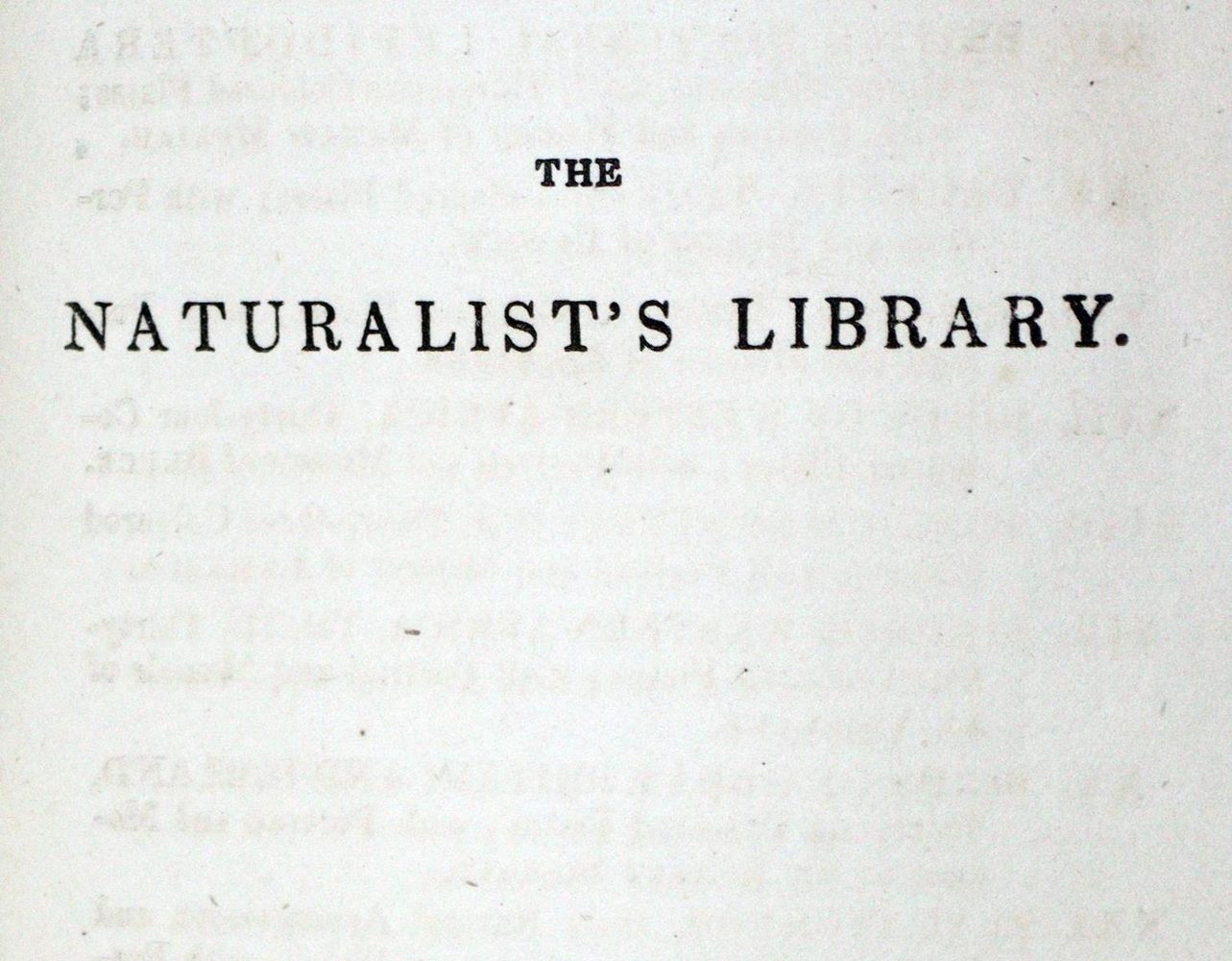 Große Abbildung Nr.51: 130-665 Konvolut: (Land- und Forstwirtschaft, Tierhaltung, Geflügel)