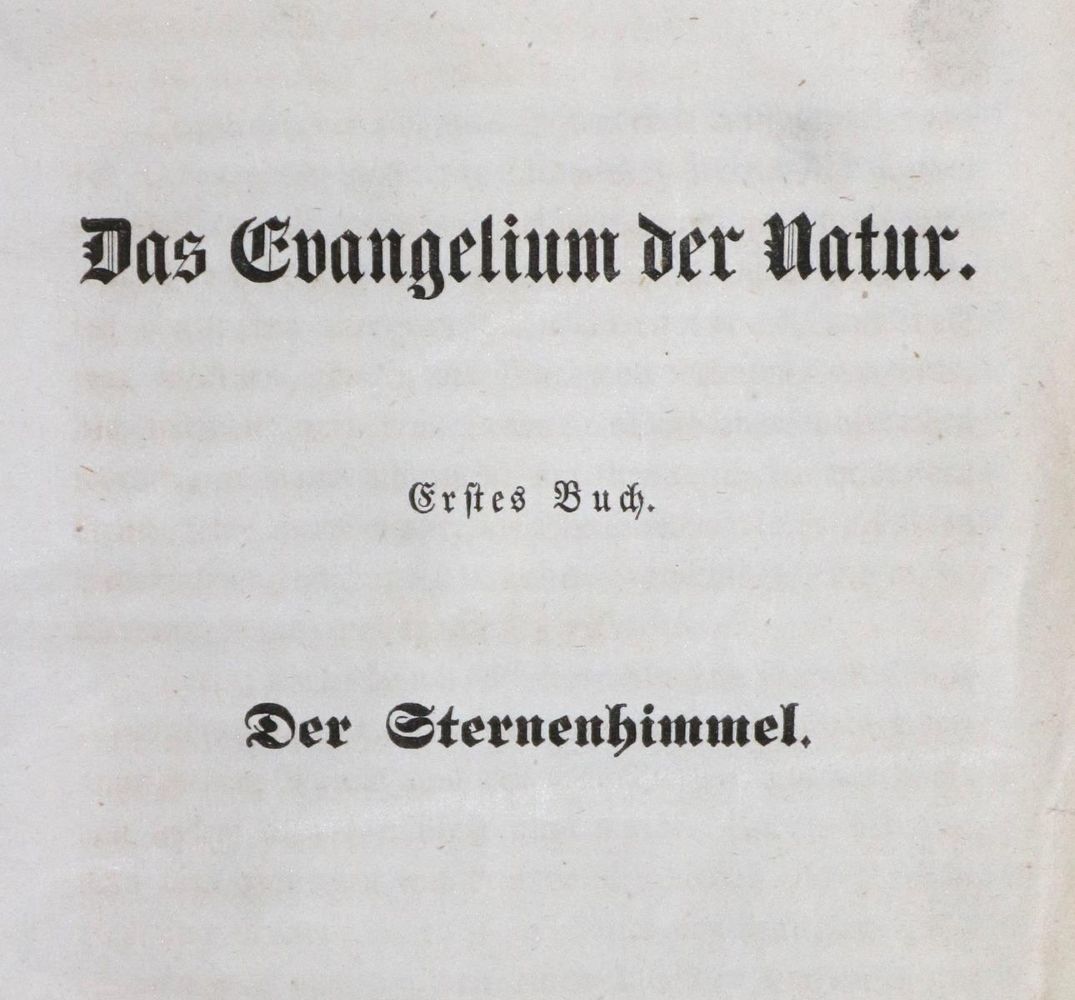 Große Abbildung Nr.1: 130-802 Dunkelblauer Ledereinband: (Einband)