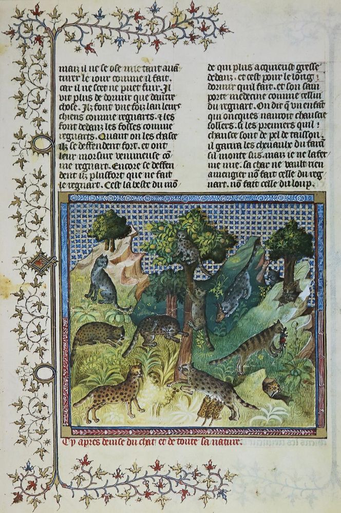 Große Abbildung Nr.2: 130-821 Gaston Phoebus.: (Faksimile)
