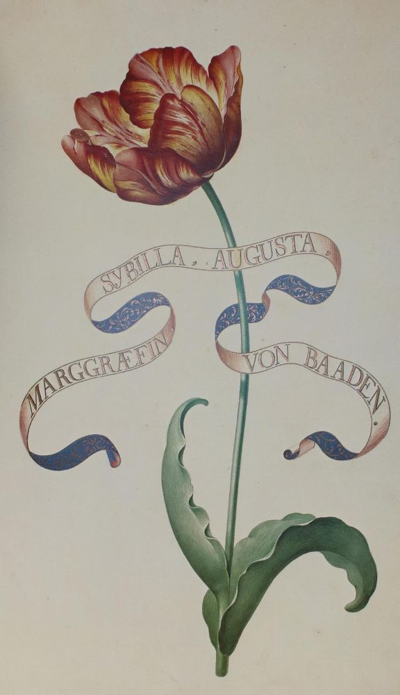 Große Abbildung Nr.1: 130-824 Karlsruher Tulpenbuch.: (Faksimile)