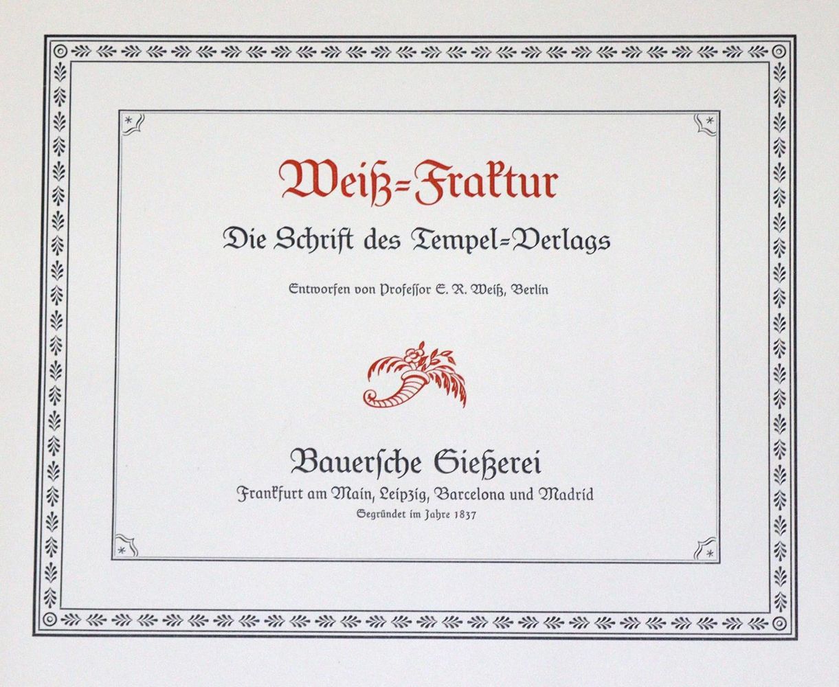Große Abbildung Nr.3: 130-921 Ludwig & Mayer Schriftgiesserei.: (Typographie und Kalligraphie)