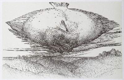 Bild Nr.1: 130-1454 Grass,G.: (Literatur und illustrierte Bücher 20.Jahrhundert - Alte Literatur in modernen Ausgaben)