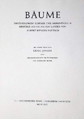 Bild Nr.2: 130-1555 Renger-Patzsch,A.: (Photographie)