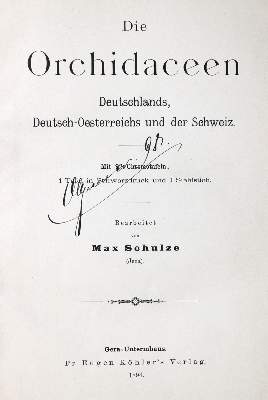 Bild Nr.1: 130-1694 Schulze,M.: (Botanik, Orchideen)