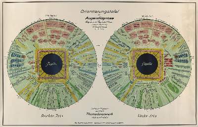 Bild Nr.4: 130-1728 Akupunkturtafel: (Medizin, Akupunktur)