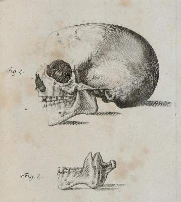 Bild Nr.2: 130-1739 Henckel,J.F.: (Medizin)