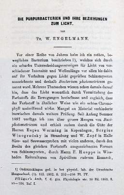 Bild Nr.5: 130-1864 Sammlung: (Sammlung von Professor Dr.Dr. Johannes Büttner)