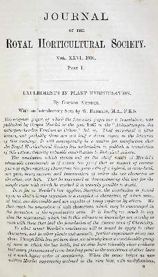 Bild Nr.1: 130-1871 Sammlung: (Sammlung von Professor Dr.Dr. Johannes Büttner)