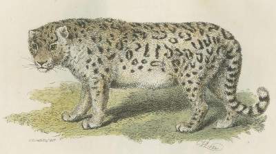Bild Nr.1: 130-1904 (Cuvier,G.L.C.de).: (Zoologie)
