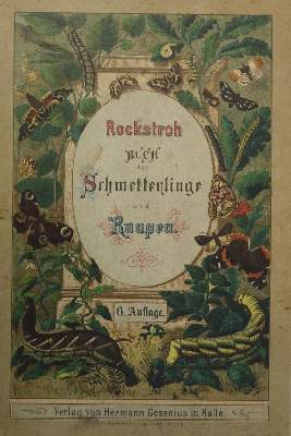Bild Nr.1: 130-1913 Heinemann, H.v.: (Zoologie, Insekten)
