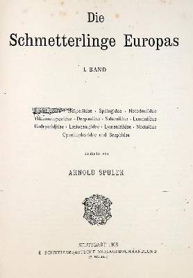 Bild Nr.2: 130-1923 Spuler,A.: (Zoologie, Schmetterlinge)