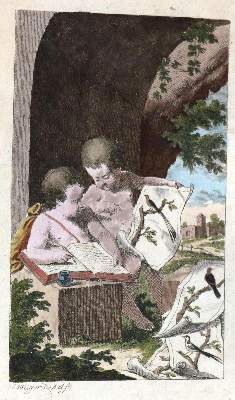 Bild Nr.1: 130-1925 Buffon,(G.L.L.)de.: (Zoologie, Vögel)