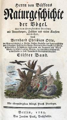 Bild Nr.2: 130-1925 Buffon,(G.L.L.)de.: (Zoologie, Vögel)